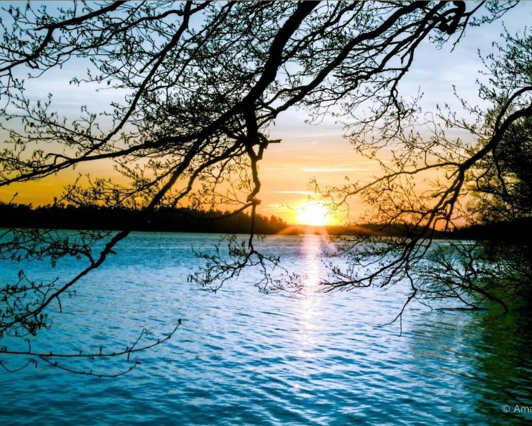 Close To The Metro And The Beach!!! With A View Of The Scandinavian Forest Stockholm Kültér fotó