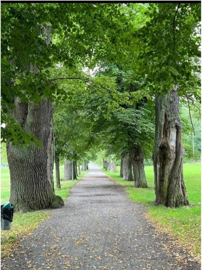 Close To The Metro And The Beach!!! With A View Of The Scandinavian Forest Stockholm Kültér fotó