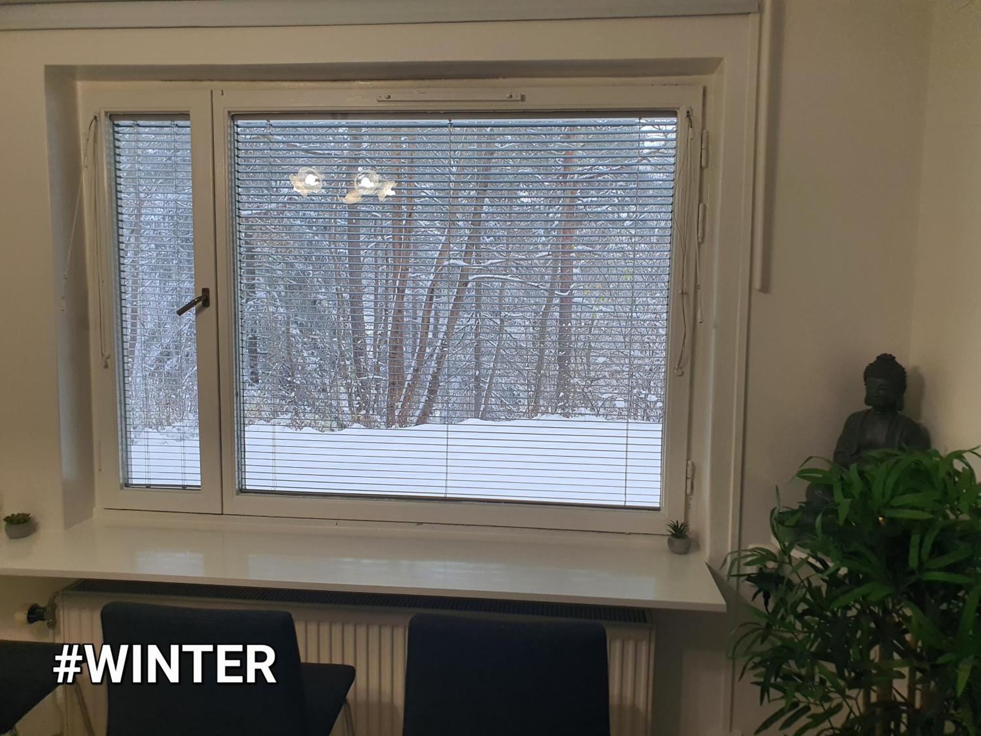 Close To The Metro And The Beach!!! With A View Of The Scandinavian Forest Stockholm Kültér fotó